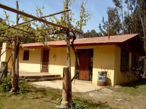 LUIS OSORIO Anuncios gratis en El Tabo |  SE VENDE PARCELA EN EL TABO, VENTA DE PARCELA