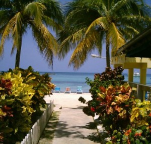 Mario Gonz&aacute;lez Anuncios gratis en Iquique |  TRABAJA DESDE TU CASA Y GANA MUCHO DINERO, HASTA US$1.000, siii mil dolares, trabaja y gana dinero sin moverte de tu hogar, atrevete!!!!!!