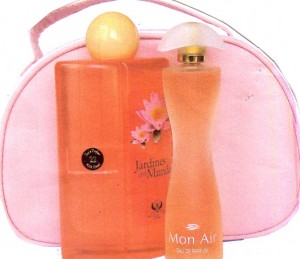  Anuncios gratis en Rapel de Navidad |  OPORTUNIDAD DE TRABAJO EN VENTA POR CATALOGO, 100% DE COMISION POR VENTAS !!