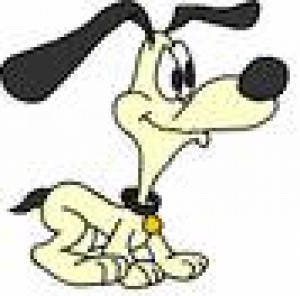 Carlos Bravo Anuncios gratis en Valpara&iacute;so |  PELUQUER&Iacute;A CANINA, Retiro domicilio GRATIS