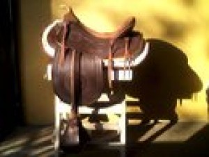 patricio isla Anuncios gratis en Chill&aacute;n Viejo |  vendo montura, montura americana marca isla