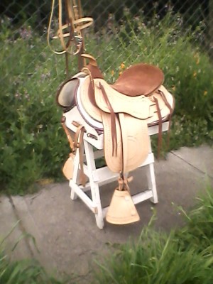 patricio isla Anuncios gratis en Chill&aacute;n Viejo |  montura isla modelo americana, vendo mkontura