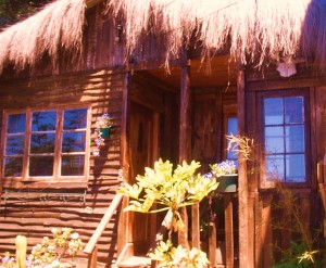 CABA&Ntilde;A DEL &Atilde;RBOL Anuncios gratis en Conc&oacute;n |  ARRIENDO CABA&Ntilde;A - ART  CONC&Oacute;N, INSPIRADORA CABA&Ntilde;A  $ 25.000  