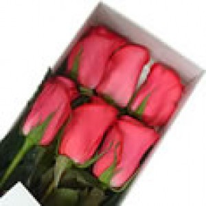 Floreria Rosalinda Anuncios gratis en Independencia |  Florer&iacute;a a Domicilio: Arreglos Florales, Rosas Ecuatorianas y Ramos de Flor, www.rosalinda.cl
