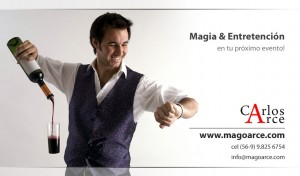 Carlos Arce Anuncios gratis en Puerto Varas |  Mago Arce, en Puerto Varas - Puerto Montt