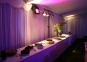 Jorge Garrido Chirino Anuncios gratis en Villa Alemana |  fotos eventos, matrimonios, fotografia profesional, con con, vi&ntilde;a del mar, quilpue, limache, quillota, la calera