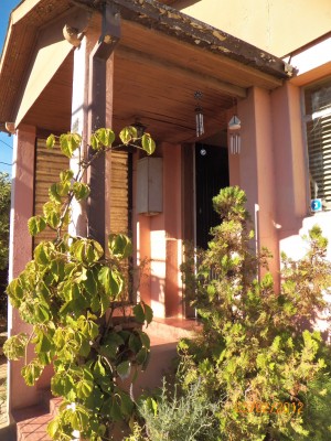 NATALIA ALARCON Anuncios gratis en Rapel de Navidad |  TERRENO CON DOS CASAS, TERRENO EN ALRURA CONS DOS CASAS