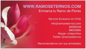  Anuncios gratis en Concepci&oacute;n |  Conserva tu ramo de novia en un marco , con Cristina Diaz, recibimos tu ramo en Santiago desde regiones