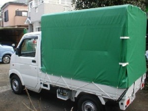 Patricio Marcelo Anuncios gratis en San Pedro de la Paz |  FABRICA DE CARPAS Y TOLDOS EN SAN PEDRO DE LA PAZ, Carpas, Toldos y Cobertores Telas PVC Cobertura y Polyester Tarpulin