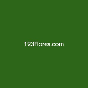 123Flores Anuncios gratis en Antofagasta |  Envio de Flores en Antofagasta, Arreglos para Cumplea&ntilde;os, Aniversario, Nacimiento