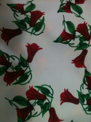 PATRICIO LECAROS TENNENBAUM Anuncios gratis en Independencia |  GASAS, VELOS, BISTRECH, LONAS, CORTINAS, ETC, TELAS Y ACCESORIOS DE EXCELENTE CALIDAD