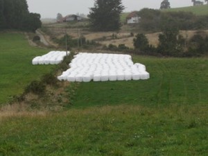 Clemente Sandoval Anuncios gratis en R&iacute;o Negro |  Comuna de R&iacute;o Negro, vendemos 418 hect&aacute;reas, Terreno, fundo, campo