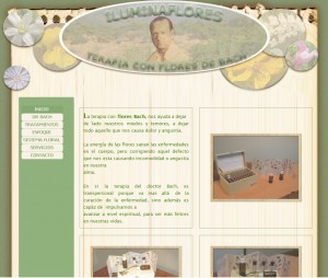 Rocio Olea Letelier Anuncios gratis en Vi&ntilde;a del Mar |  Terapia Complementaria. Flores de Bach en Vi&ntilde;a del Mar, Terapeuta Floral Transpersonal