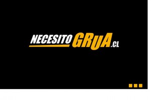 Mauricio Anuncios gratis en Calera de Tango |  Servicio Grua Cama 24Hrs, Servicio Dentro y Fuera de Santiago