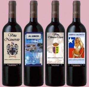 Christian Navarrete Anuncios gratis en Las Condes |  Vinos Personalizados para todo tipo de Eventos, Un vino de Gran calidad especial para Eventos de todo tipo...