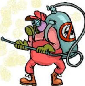 SEBASTIAN  Anuncios gratis en Rancagua |  SE HACEN FUMIGACIONES POR PERSONAL CAPACITADO Y AUTORIZADO POR EL SAG, FUMIGA TU HOGAR A UN BAJO COSTO Y CIEN PORCIENTO DE EFECTIVIDAD