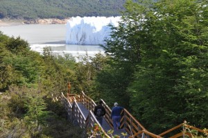 RODOLFO D�AZ MIRANDA Anuncios gratis en Punta Arenas |  TOUR TE LLEVAMOS AL GLACIAR PERITO MORENO (SORPRENDENTE) POR EL D&Iacute;A Y EN, GRUPO TAMBI&Eacute;N TORRES DEL PAINE RESERVAS turismomercury@gmail.com