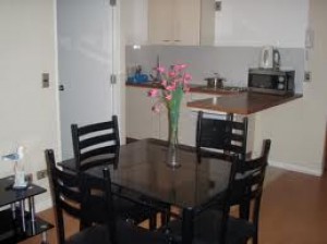 nicolas Anuncios gratis en Vi&ntilde;a del Mar |  arriendo departamento amoblado en vi&ntilde;a del mar para 6 personas - $30.000 , departamento amoblado en vi&ntilde;a del mar frente al mar