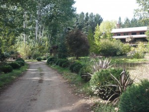 halvez Anuncios gratis en Concepci&oacute;n |  Atractiva parcela en Chaim&aacute;vida, vendo, Especial para centro tur&iacute;stico y/o recreativo