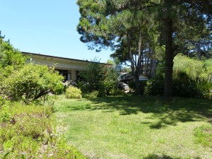 CECILIA Anuncios gratis en Isla Negra |  ISLA NEGRA. VENDO CASA, LINDO ENTORNO. , 120 MTS. CONSTRUCCION SOLIDA EN TERRENO 2.600 MTS