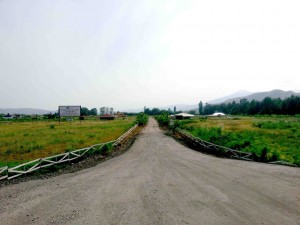 Lisa Labra Anuncios gratis en  Parcela de agrado en rengo exito de ventas, parcela de agrado