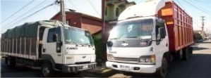 Luis Inostroza Gonzalez Anuncios gratis en Maip&uacute; |  TRANSPORTE DE CABALLOS, MUDANZAS Y CARGA EN GENERAL A TODO EL PAIS, TRANSPORTE DE CABALLOS (RODEO, POLO, EQUITACION, PASEO, ENDURO ETC)