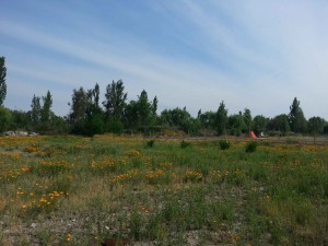 Lisa Labra Anuncios gratis en  Parcela de agrado , exelentes terrenos, parcela de agrado