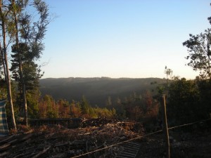 ABS PROPIDADES Anuncios gratis en Concepci&oacute;n |  Vendo parcela 1000m2 en PUNTA DE PARRA, Concepci&oacute;n, Tom&eacute;