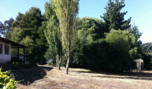 ABS PROPIDADES Anuncios gratis en Concepci&oacute;n |  Vendo parcela 8000m2 sector VILLA VERDE/ECUADRON camino a Coronel, San Pedro de la Paz