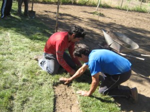 fermin bravo Anuncios gratis en Lo Barnechea |  riegos automaticos construccion de jardines y dise&ntilde;o, instalaci&oacute;n de pasto en rollo y siembra riegos manual y automatizados