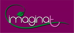 abepub Anuncios gratis en Vi&ntilde;a del Mar |  Decoraci&oacute;n de Eventos Vi&ntilde;a del Mar - Valparaiso IMAGINAT, IMAGINAT - Decoraci&oacute;n de Eventos y Celebraciones
