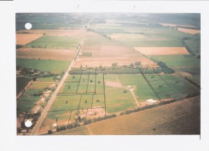 Osvaldo Corral Anuncios gratis en San Francisco de Mostazal |  VENDO PARCELA 4 DE 5.000 m2 PLANOS EN PICARQU&Iacute;N (La Punta de Codegua), Vende su due&ntilde;o sin comisiones