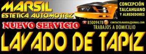 martin silva Anuncios gratis en Concepci&oacute;n |  lavado de tapiz vehiculos en ciudad de concepcion y alrededores, servicios a domicilio