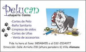  Anuncios gratis en Villa Alemana |  Peluqueria canina , Pelucan
