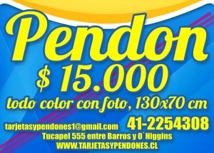 Alejandro Molina Anuncios gratis en Concepci&oacute;n |  Tarjetas y pendones con los mejores precios en concepcion, Tarjetas y pendones