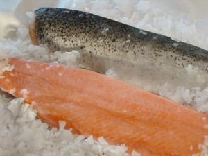 Yeferson Anuncios gratis en Puerto Montt |  Venta de productos del mar en todo chile, Pescados, mariscos, salm&oacute;n, merluza, surtido de mariscos