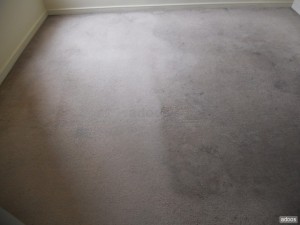 luis Anuncios gratis en Vi&ntilde;a del Mar |  Lavado de alfombra limpieza de tapiz :97798674, 24 a&ntilde;os de experiencia, Lavado de alfombra y tapiz en valparaiso vi&ntilde;a concon quilpue villa ale