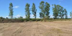 Elvis Bustos Anuncios gratis en Linares |  Campo en el sur, loteo san agustin de miranorte, Parcelas en precordillera de linares