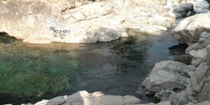 Elvis Bustos Anuncios gratis en Linares |  Campo en el sur, loteo altozanos de vega ancoa, Terrenos en precordillera de linares