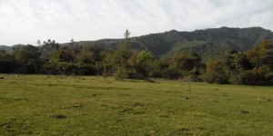 Elvis Bustos Anuncios gratis en Linares |  Campo en precordillera de linares, loteo altozanos de vega ancoa, Terrenos en precordillera de linares