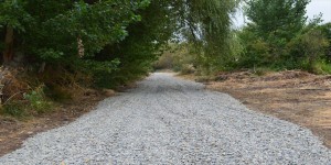 Elvis Bustos Anuncios gratis en Linares |  Terreno en el campo, loteo san agustin de miranorte, Terrenos en precordillera de linares