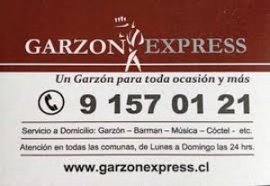 yamal Anuncios gratis en &Ntilde;u&ntilde;oa |  Servicio de garzones - santiago - serviciodemozos.cl 9-1570121, garzon, Garzones en santiago, mozos para eventos, servicio de meseros
