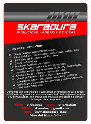 cesar torreblanca Anuncios gratis en Vi&ntilde;a del Mar |  SKARADURA PUBLICIDAD : DISE&Ntilde;O DE SITIOS WEB INTERACTIVOS Y PUBLICIDAD  , AGENCIA DE PUBLICIDAD EN VI&Ntilde;A DEL MAR