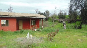 Veronica  Anuncios gratis en Pichidegua |  Hermosa parcela con caba&ntilde;a de 5000  mts , Comuna de pichidehua parcela de 5000