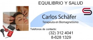 Carlos Schafer Anuncios gratis en Vi&ntilde;a del Mar |  Biomagnetismo (terapia con imanes) y terapia emocional, Terapia con imanes para sanar r&aacute;pidamente