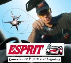 Alex von Riegen  Anuncios gratis en &Ntilde;u&ntilde;oa |  Reparacion trizaduras esprit, arreglos piquetes estrella parabrisas , Reparaion de parabrisas 