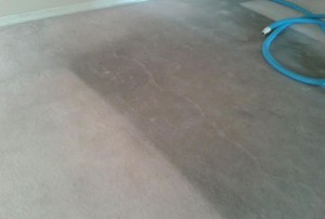 LUIS Anuncios gratis en Vi&ntilde;a del Mar |  Lavado alfombras, fono 997798674, vi&Ntilde;a,jardin del mar re&ntilde;aca, recreo  , Limpieza de tapiz a oficinas, casas, departamentos valparaiso quilpue