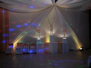 Eros Eventos Anuncios gratis en &Ntilde;u&ntilde;oa |  Aniversarios de matrimonio y todo tipo de eventos., Eventos, matrimonios, banqueteria, centros de eventos,