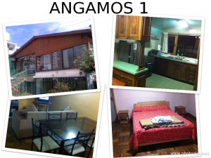 Violeta Fern&aacute;ndez Reyes Anuncios gratis en Re&ntilde;aca |  Re&ntilde;aca - casas full equipadas - 12 personas.-, Arriendo por d&iacute;as, noche, fin de semana, para fiestas en re&ntilde;aca