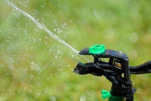 Osvaldo C&aacute;rdenas Anuncios gratis en Vi&ntilde;a del Mar |  Riego autom&aacute;ticos, mantenimiento, paisajismo y jardiner&iacute;a v regi&oacute;n, Tecnificaciones, jardiner&iacute;a, decoraci&oacute;n y dise&ntilde;o 